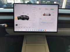 Nio Lerado L60 60kWh Rear-Wheel Drive - фото 12