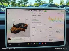 Tesla Model 3 Rear-Wheel Drive - photo 4