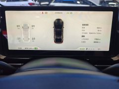 XPeng P5 550E - ფოტო 11