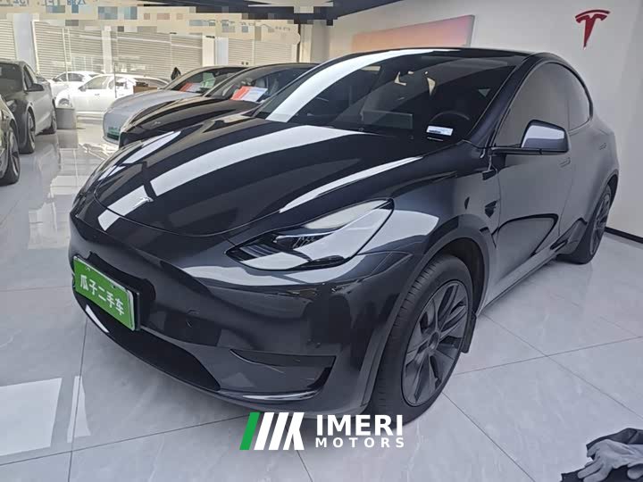 Tesla Model Y Rear-Wheel Drive