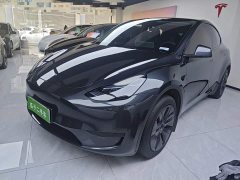 Tesla Model Y Rear-Wheel Drive - ფოტო 1