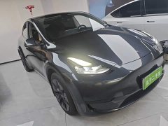 Tesla Model Y Rear-Wheel Drive - ფოტო 3