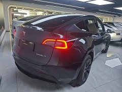 Tesla Model Y Rear-Wheel Drive - ფოტო 6