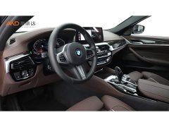 BMW 5 Series Facelift 530Li Luxury M Sport Package - photo 6