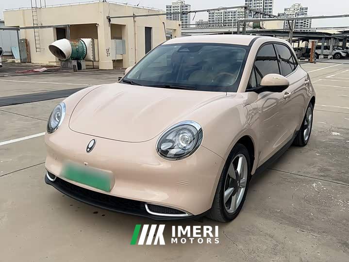 ORA Good Cat 401km Standard Range Luxury LFP