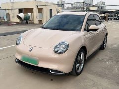 ORA Good Cat 401km Standard Range Luxury LFP - ფოტო 1