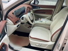 ORA Good Cat 401km Standard Range Luxury LFP - ფოტო 12
