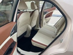 ORA Good Cat 401km Standard Range Luxury LFP - ფოტო 13