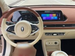 ORA Good Cat 401km Standard Range Luxury LFP - ფოტო 14