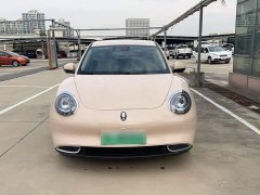 ORA Good Cat 401km Standard Range Luxury LFP - ფოტო 6