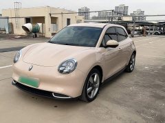 ORA Good Cat 401km Standard Range Luxury LFP - ფოტო 8