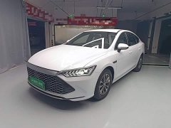 BYD Qin PLUS Champion Edition DM-i 55KM Leading - photo 1