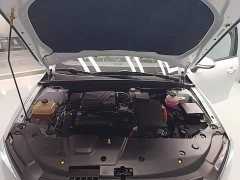 BYD Qin PLUS Champion Edition DM-i 55KM Leading - photo 19