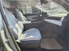 Buick E5 Premium Standard Range Edition - ფოტო 8