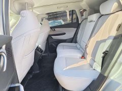 Buick E5 Premium Standard Range Edition - ფოტო 9