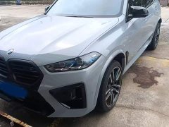BMW X5 M X5 M Thunder Edition - photo 6
