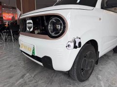 Geely Panda Mini 200km Endurance Edition - photo 7
