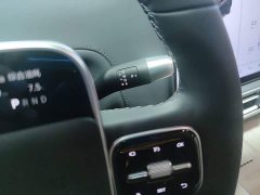 Li Auto L6 Pro - ფოტო 13