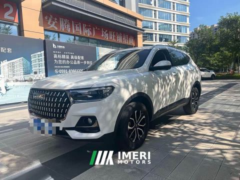 2024 Haval H6 National Trend Edition 1.5T Automatic Urban Version