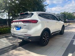 Haval H6 National Trend Edition 1.5T Automatic Urban Version - ფოტო 7