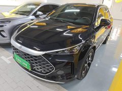 BYD Tang New Energy DM-i 115KM Premium Edition - ფოტო 1