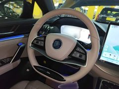BYD Tang New Energy DM-i 115KM Premium Edition - ფოტო 10