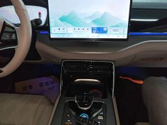 BYD Tang New Energy DM-i 115KM Premium Edition - ფოტო 12