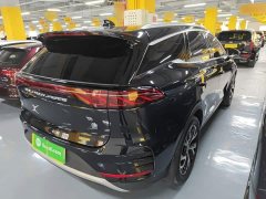 BYD Tang New Energy DM-i 115KM Premium Edition - ფოტო 6