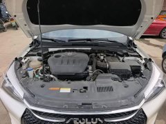 Dongfeng Yixuan GS 230T Automatic Chasing Star Edition - ფოტო 19