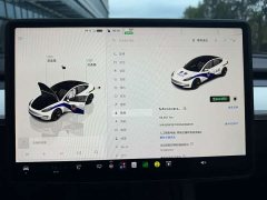 Tesla Model 3 Rear-Wheel Drive - ფოტო 10