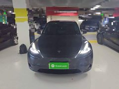 Tesla Model Y Rear-Wheel Drive - ფოტო 2