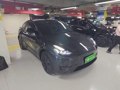 Tesla Model Y Rear-Wheel Drive - ფოტო 3