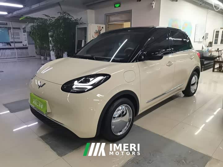 Wuling Binguo 333km Joy Edition - car from China