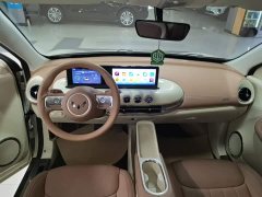 Wuling Binguo 333km Joy Edition - photo 9