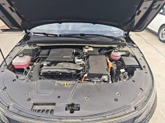 BYD Destroyer 05 Glory Edition DM-i 55KM Luxury - photo 19