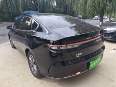 BYD Destroyer 05 Glory Edition DM-i 55KM Luxury - photo 4