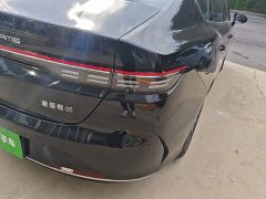 BYD Destroyer 05 Glory Edition DM-i 55KM Luxury - photo 7