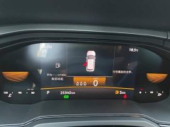Volkswagen Polo Facelift Plus 1.5L Automatic Passion Life Edition - ფოტო 14
