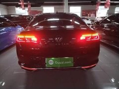 Volkswagen Magotan 380TSI DSG Luxury - photo 5