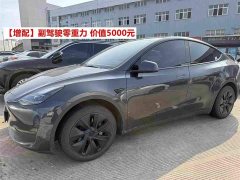 Tesla Model Y Rear-Wheel Drive - ფოტო 1