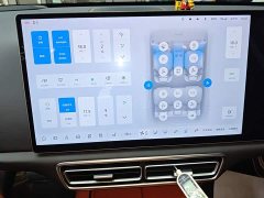 Li Auto L6 Pro - ფოტო 12
