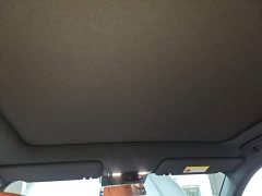 Li Auto L6 Pro - ფოტო 17