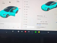 Tesla Model 3 Standard Range RWD Upgrade - ფოტო 11