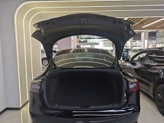 Tesla Model 3 Standard Range RWD Upgrade - ფოტო 18