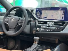 Lexus ES 300h Excellence Edition - ფოტო 19