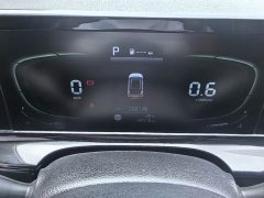 Kia Situs 1.4T DCT Luxury Edition - ფოტო 10