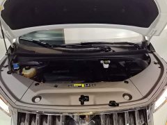 GAC Aion M8 Master Series 400T Flagship - фото 19