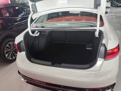 Volkswagen Sagitar 300TSI DSG Excellence Edition - photo 18