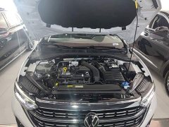 Volkswagen Sagitar 300TSI DSG Excellence Edition - photo 19