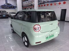 Changan Lumin 301km Honey Scent Edition - ფოტო 4